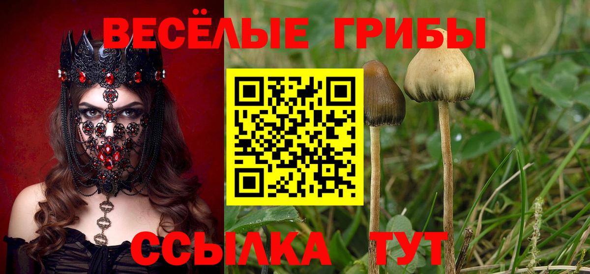 Кореновск  Псилоцибиновые грибы Psilocybe  Вход с VPN 